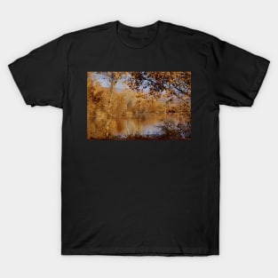 Far Side of the Pond T-Shirt